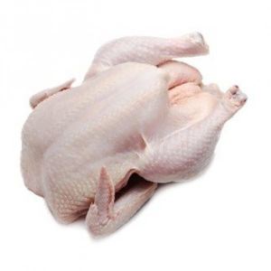 Pollo Entero Congelado de Primera Calidad, Pollo Entero Congelado Halal, Pollo Entero Congelado al Mejor Precio - Product Image 2