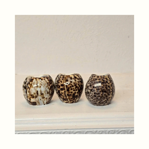 Anillo para Servilletas con Diseño de Concha Marina, Utilizado para Decoración de Mesa de Comedor, Eventos y Aplicaciones de Hostelería - Product Image 2