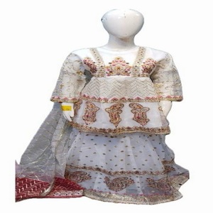 Vestido bordado Floral informal listo para mujer de alta calidad Lenghas importación paquistaní transpirable para la temporada de invierno - Product Image 1