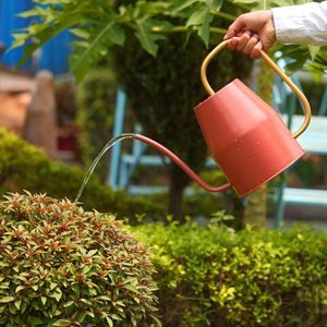 Arrosoir en métal de style ferme pour jardin, arrosoir ergonomique en métal pour une hydratation sans effort - Product Image 2