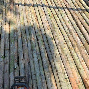 Palos de madera secos de alta calidad de Vietnam económicos para uso agrícola y de muebles - Product Image 1