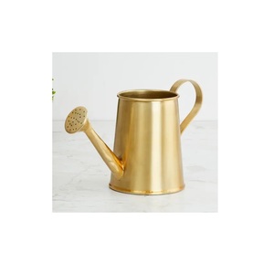 Arrosoir élégant avec une conception mondiale ironique arrosoir en métal idéal pour l'extérieur et les jardins - Product Image 2