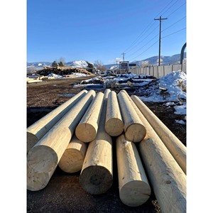 Bois rond industriel lourd et durable pour la construction et l'infrastructure - Product Image 1