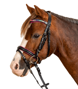 สายรัดจมูก Bridle Flash สีชมพู - ผ้าคาดศีรษะตรง - สายรัดคิ้วโค้ง พร้อมไรน์สโตนสี - สายรัดจมูกและสายรัดคิ้ว - Product Image 1