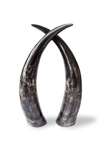 SUPER QUALITÉ BUFFALO CORNE NATURELLE CORNE DE VIKING Produits DE HAUTE QUALITÉ À Boire pour Restaurant Agate pour l'occasion de Noël - Product Image 6