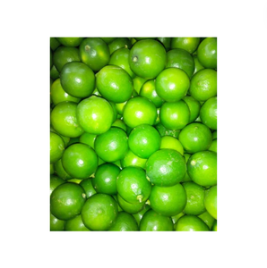 Cítricos de limón verde fresco de Vietnam al por mayor para Lima fresca con alta calidad - Product Image 1