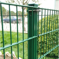 Vente en gros galvanisé enduit de poudre 2m x 3m 868 Clôture en treillis métallique soudé à double trame pour clôture de jardin