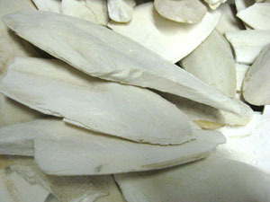 SUMINISTRO DE HUESOS SECOS DE SEPIA CON EL MEJOR PRECIO DE VIET NAM - Product Image 2