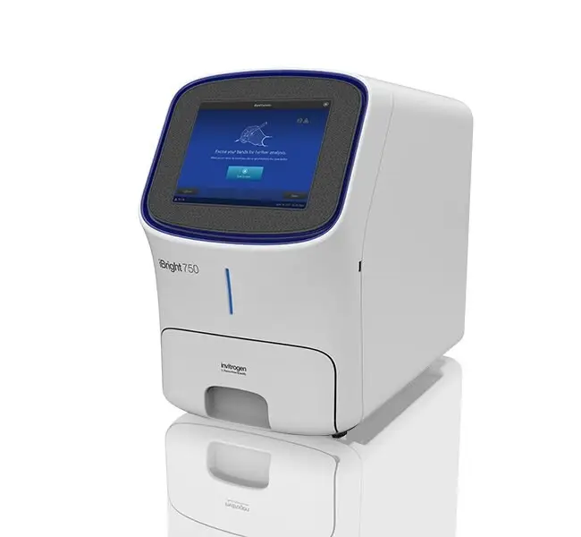 Bio rad thermo fisher scientific ibright mini protein gel document imaging analysis system apparato 9.1 mp prezzo
