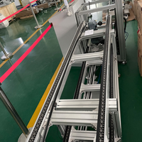 Sistema de Transporte de Cadenas para Palets de Alta Resistencia con Módulos Acumuladores Automáticos para Centros de Distribución Logística de Almacenes