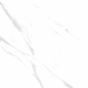 Evergreen Modèle Surface spéciale planche de bois gres porcelanto pour salle de séminaire. - Product Image 5