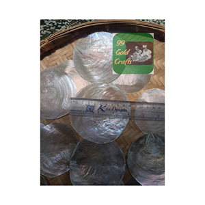 Disco de fregona compacto más vendido, conchas marinas encantadoras blancas de costas para adornos de decoración artesanal y cortinas de carillón de viento - Product Image 6