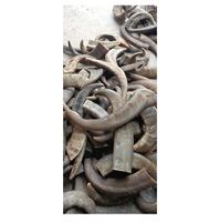 Pointes de corne de buffle bio écologiques de taille personnalisée, magnifiquement sculptées style animal, couleur naturelle de haute qualité Art R M