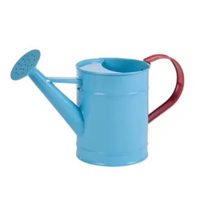 Tendance Design pur fer peut eau taille personnalisée peut eau plantes herbes arrosoir pour jardin balcon plante arrosoir - Product Image 2