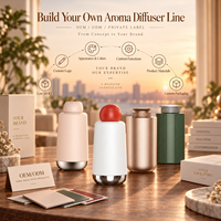 Diffuseur d'arômes de voiture DANQ Premium, rechargeable, commande tactile, sans eau, portable, pour chambre d'hôtel, cadeau, marché, logo personnalisé, OEM, ODM