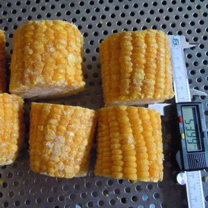 Maíz dulce amarillo OEM al por mayor para la exportación con buena calidad - Product Image 2