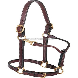 Vente en gros de la meilleure qualité réglable design personnalisé en cuir cheval licou équestre équitation serre-tête fabriqué en inde commande en gros - Product Image 1