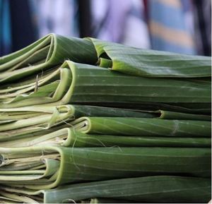 Giá Cả Cạnh Tranh Số Lượng Lớn Xuất Khẩu Đông Lạnh Lá Chuối Việt Nam Cho Nấu Ăn Gói Tamales Châu Á Bánh Bán Buôn Nhà Cung Cấp Xuất Khẩu - Product Image 2