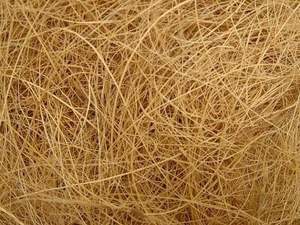 FIBRE DE NOIX DE COCO DU VIET FARGIMEX/FIBRE DE NOIX DE COCO DU VIETNAM en VENTE - Product Image 4