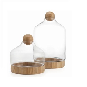 Terrarium décoratif à cadre en bois de style unique pour la décoration d'intérieur Terrarium en verre pour la décoration de table Articles Vase à fleurs - Product Image 3