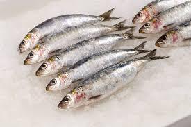 Poisson de mer congelé Sardine ronde entière à vendre - Product Image 5