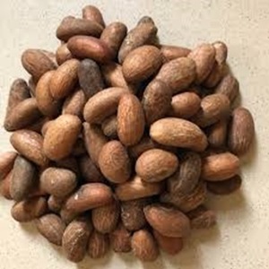 Garcinia kola frais sain Noix de cajou crues et séchées Noix de kola amère - Product Image 4