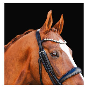 Dernière conception de bride en cuir Abigail équestre de luxe de l'inde au meilleur prix abordable - Product Image 3