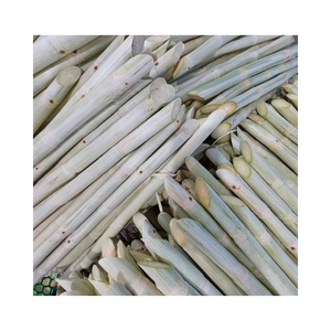 Palitos de caña de azúcar pelados congelados, sin conservantes, solo caña pura, ideal para bebidas refrescantes de verano y mercados de exportación - Product Image 6