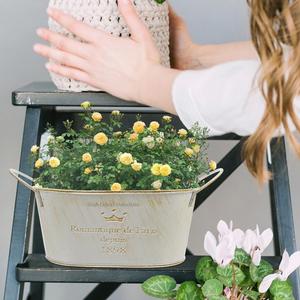 Jardinières à fleurs en métal galvanisé avec poignées Forme ovale pour la maison Balcon Jardin Jardinières décoratives à revêtement blanc - Product Image 2