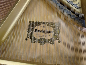 เปียโนแกรนด์ Yamaha G5E สภาพดีเยี่ยม จัดส่งรวดเร็ว งานฝีมือดั้งเดิม สวยงามหรูหรา คีย์เรียบลื่น ผลิตในญี่ปุ่น - Product Image 3