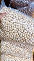 Nouvelle récolte 2024 noix de macademia naturelles décortiquées/non décortiquées à faible coût/noix de macadamia sèches crues de qualité en vrac/amande de qualité-ANNA DO