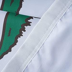 Drapeau de Californie 3x5 pieds, 3 couches de polyester, double face, avec mât en aluminium, pour intérieur/extérieur - Product Image 3