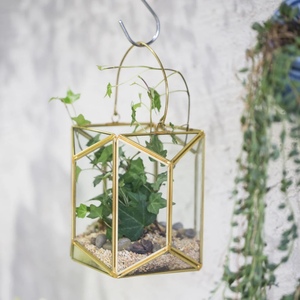 Mini terrarios de cristal colgantes de tamaño personalizado 2024, borde de Metal dorado, diseño moderno, decoración de jardín para el hogar, florero de plantas para bodas - Product Image 1