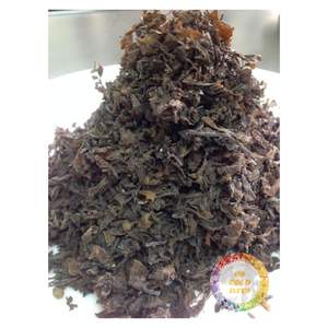 Algues marines séchées de qualité supérieure du Vietnam, algues brunes propres pour l'alimentation animale, engrais, exportation en vrac - Product Image 1