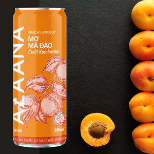 Kombucha Bonne Qualité Peachy Abricot Saveur Avec Vitamines Sans Alcool En Gros Du Vietnam Fabricant - Product Image 4