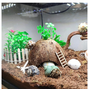 Premium Coco Hut Coconut Shell Cave doit avoir un nid naturel pour les reptiles et les petits animaux de compagnie - Product Image 3