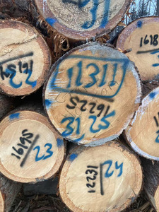 Estera de madera de pino de grado industrial Troncos de sierra de madera de pino de alta calidad - Product Image 4