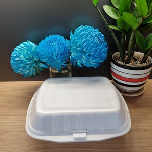 ManufacturesThree Compartments Disposable PS Foam Food <b>Container</b> with Lids Take Away Packing Items Customized Size - Product Image 3