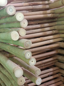 Eco Friendly Vietnam Handmade Bamboo <b>Ladder</b> <b>Decorative</b> Functional Design for Home Garden - Product Image 3