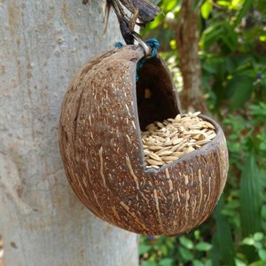 Dụng Cụ Cho Chim Ăn Vỏ Dừa Tự Nhiên 100% Làm Thủ Công Với Dây Treo Thiết Kế Khác Nhau Logo Tùy Chỉnh - Product Image 4
