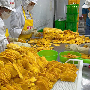Mangue séchée douce de haute qualité Vietnam fournissant un produit de collation sain fabriqué à partir de vraies mangues pour les acheteurs internationaux - Product Image 1