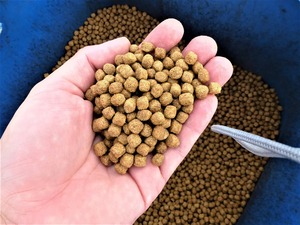 เมล็ดฝ้ายแปรรูป อาหารสุนัข อาหารสัตว์น้ำ เกรดอาหารสัตว์ บรรจุถุง 25 กก. - Product Image 4