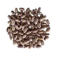 Highest quality Natural Dry Light Beans Good Price Uzbekistan Product Bulk White Speckled Kidney Bean for food