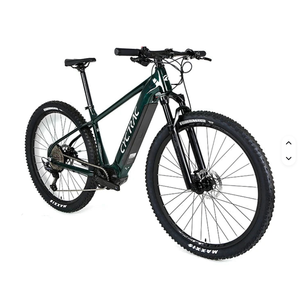 Vélo de montagne électrique hybride en alliage d'aluminium de 9 pouces avec moteur central EM5 et batterie - Product Image 1