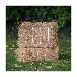 Se vende heno de pasto a granel de alta calidad, envío rápido, tarifas al por mayor asequibles - Product Image 5