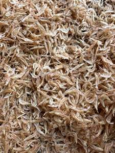 กุ้งแห้งขนาดเล็กจากเวียดนาม - Product Image 6