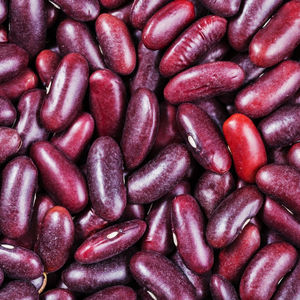 Haricots rouges en vrac en gros 100% Haricots rouges frais emballés naturels pour une nutrition riche en protéines - Product Image 6