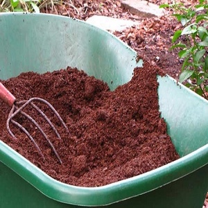 Alimento Integral para Caballos, Ganado, Peces, Pollos y Cerdos - Alto en Proteínas, Grado Superior, 100% Natural, Empaque Personalizado, Venta al Por Mayor Disponible - Product Image 2
