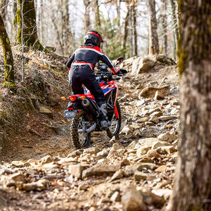 ฮอนด้า ซีอาร์เอฟ 300แอล แรลลี่ เอบีเอส ปี 2024 - Product Image 4