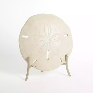 รูปปั้นดอลลาร์ทรายโบราณพร้อมขาตั้งโลหะแบบหรูหราวางโต๊ะเพื่อยกระดับความสวยงามในห้องนั่งเล่น - Product Image 1